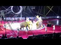 America S Original 3 Ring Circus