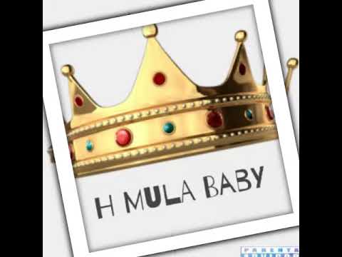 Pain By H Mula Baby