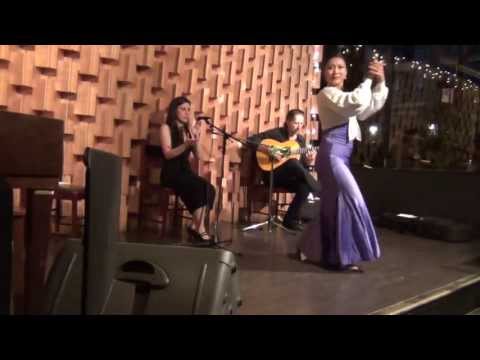Flamenco Night @ The Zoo Nanako Aramaki, Stephanie Pedraza, Victor Kolstee