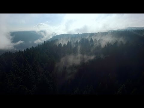 DER KRIEG IN MIR (The War in me) - Film Intro