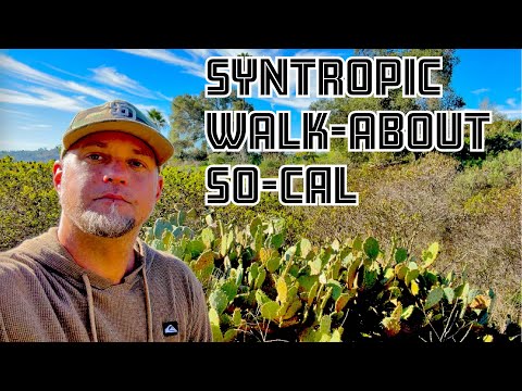 SoCal Syntropic Stroll: Passive Support thru Plants