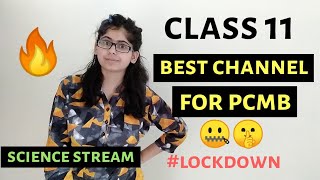Class 11: Best Channel for Physics, Chemistry, Math & Biology | Science Stream