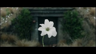 Eowyn's Lament (Funeral of Theodred) with Subtitles
