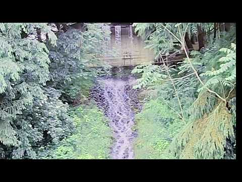 Parco lago nord Paderno Dugnano (MI)