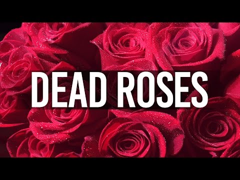 LOVE RAP BEAT - Romantic Love Rap Beat - Dead Roses (Prod. INS Beats)
