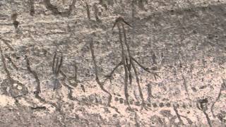 preview picture of video 'Petroglyph Point, California'
