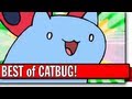 Best Of Catbug - Bravest Warriors on Cartoon ...