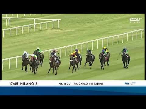 Premio Carlo Vittadini - Gruppe 3