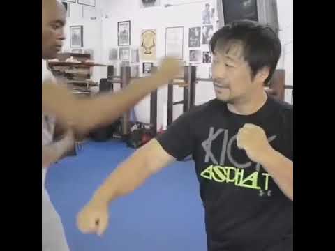 Spider Anderson Silva & Dan Inosanto Jeet Kune Do - Wing Chun