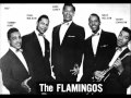 FLAMINGOS - BESAME MUCHO