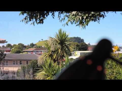 SOLD - 6/21 Ballarat Street, Ellerslie - Debbie-Lee Wallace