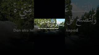 Download lagu Surah Taha: 39 | Quran Recitation | Bismillah #surattaha #bismillah mp3 Download lagu Surah Taha: 39 | Quran Recitation | Bismillah #surattaha #bismillah mp3
