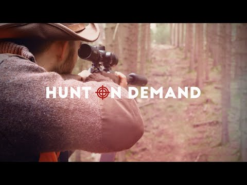 Drückjagden in Deutschland - Huntingroom Hunt on Demand Trailer