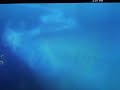 JEDIBEAR Promo