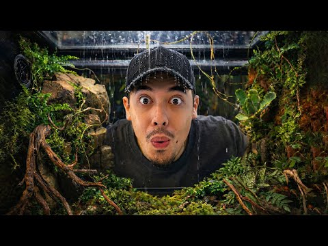 I CREATED A LIVING WORLD… AND I CAN CONTROL EVERYTHING