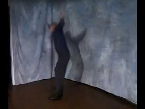 i can see the statue of liberty from here!