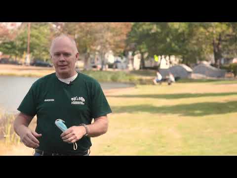 Let's Go! Exploring Concord Parks