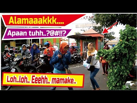 gor-purwokerto-lucunya-expresi-orang-kaget-bushman-prank-manusia-pohon