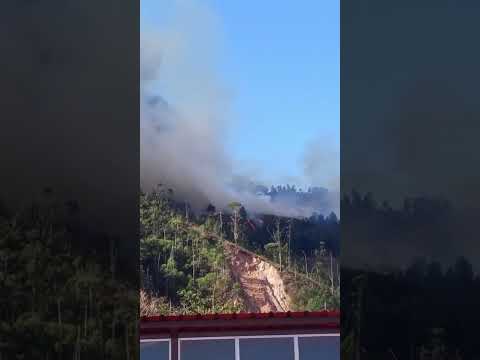 🚨 INCENDIO FORESTAL EN QUILANGA 🔥