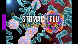 Stomach Flu: The Stomach Bug