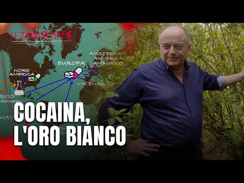 Lezioni di Mafie: Nicola Gratteri - Episodio 2 | Cocaina, l'oro bianco