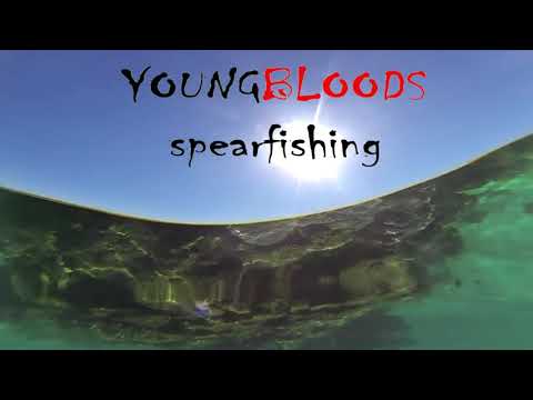 YBS Liquid Cinema Ep 1 - Hunting On A Heartbeat
