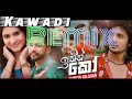 Ithin Ko Kawadi Remix Suresh Dilshan Ft Shasi Bro