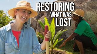 Can Planting Just One Tree Really Make a Difference?