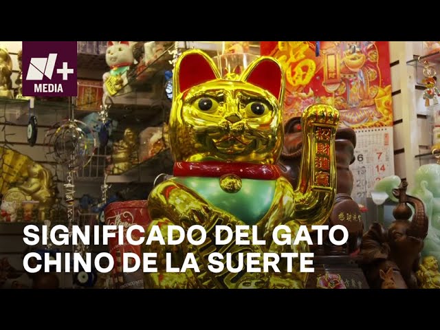 Vídeo relacionado con lachineuse - Juego de 4 cuencos Maneki Neko - Tazones de arroz, desayuno y sopa - Vajilla japonesa de porcelana - Con palillos - Gato de la suerte - Regalo japonés Kawaii Japón - Blanco & Rojo