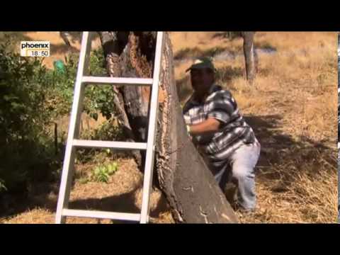 Sonne, Siesta und Saudade Algarve   Portugals Sonnenküste Doku über die Algarve Teil 2