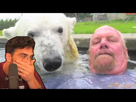 HasanAbi reacts to Grizzly Man  The Only Man in the World who can swim with Polar bears