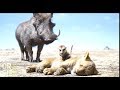 El Rey León Timon Y Pumba Encuentran A Simba ORIGINAL OrS E