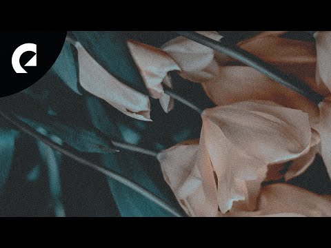 Victor Lundberg - In Bloom