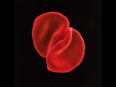 Flume - Peter Gabriel