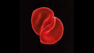 Peter Gabriel - Flume