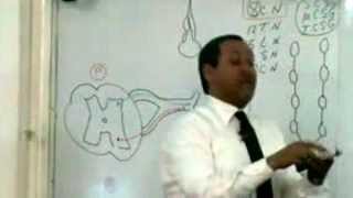 Dr Ahmed Galal Intrercostal nerves 11 2