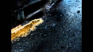 Outremont Music Video