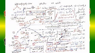 صورة 129 √ الممنوع من الصرف لِعِلَّتَيْنِ