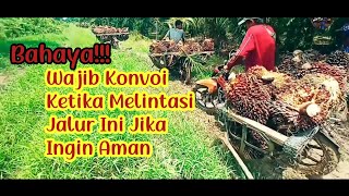 Download lagu 🔴 Kondisi Jalan Rawan Ojek Sawit Revo Absolute mp3 Download lagu 🔴 Kondisi Jalan Rawan Ojek Sawit Revo Absolute mp3