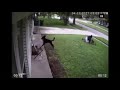 Owner Saves Dogs Life Defending It From Coyote