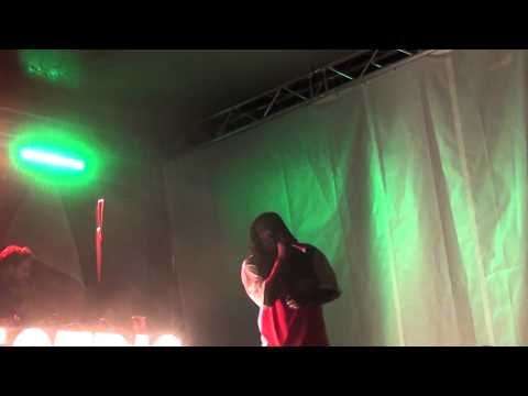 Mungo's Hi Fi feat Solo Banton @ Electric Castle Festival 2014, Cluj-Napoca | 21 Iunie - part 1