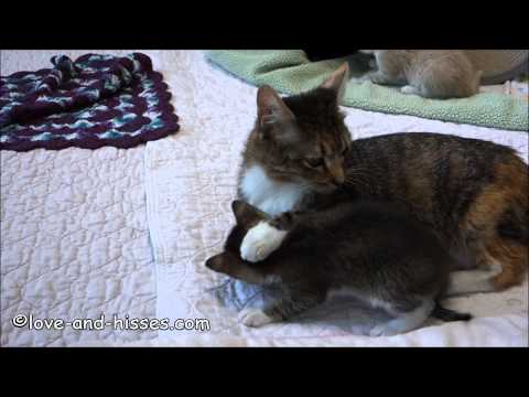 Lucy and Louis and Roseanne