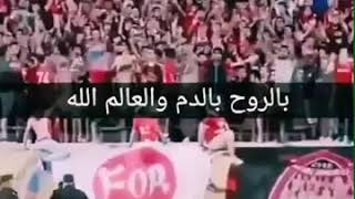 جماهير الاهلي حالات واتس
