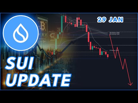 WILL SUI CRASH LOWER?🚨 (SUI PRICE PREDICTION 2026)