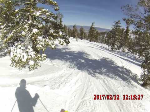 Sarah Bellotti shredding through Heavenly trees!