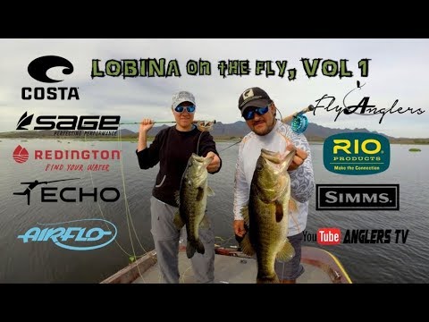 LOBINA ON THE FLY, VOL.1 / BASS ON THE FLY, VOL.1