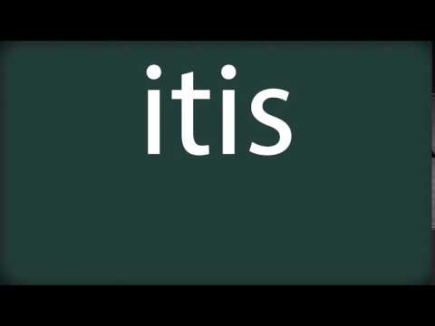How to pronounce itis