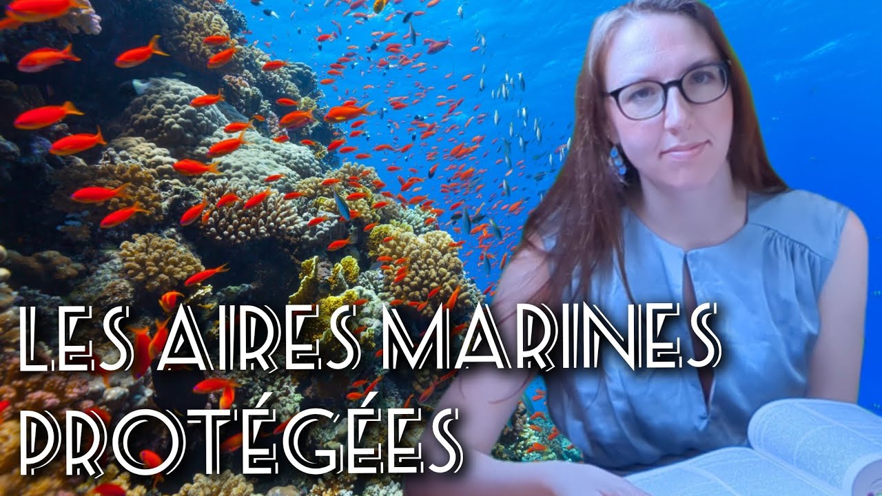 Les aires marines protégées (AMP) - droit de la mer