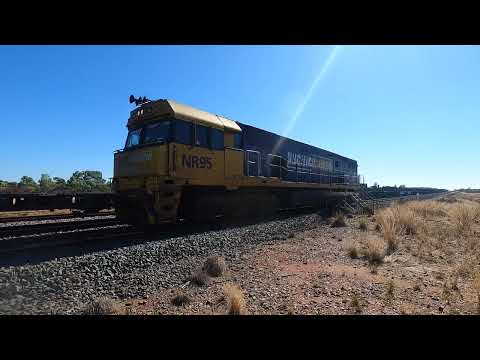 NR95 light engine at Matakana NSW.  Wed 12th Jan 2022
