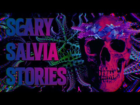 Salvia Horror Stories
